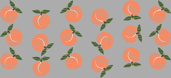 16oz delicacy-DE-381